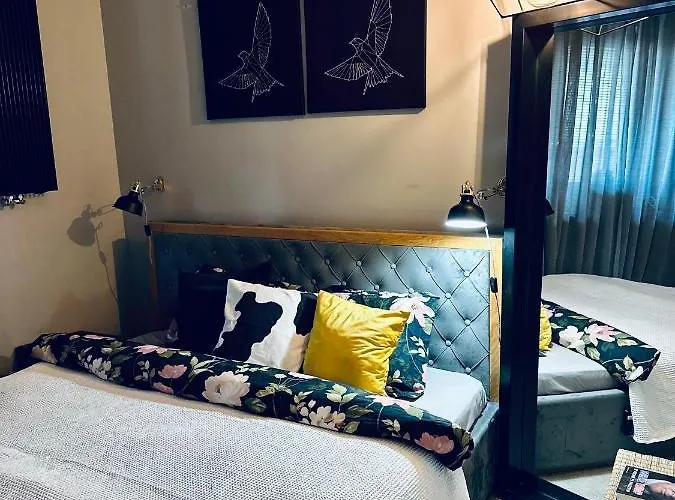 Bovis Center Redlowo