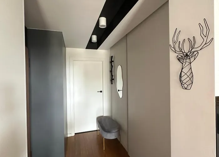 Bovis Center Redlowo Daire